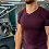 Fitness and Gym