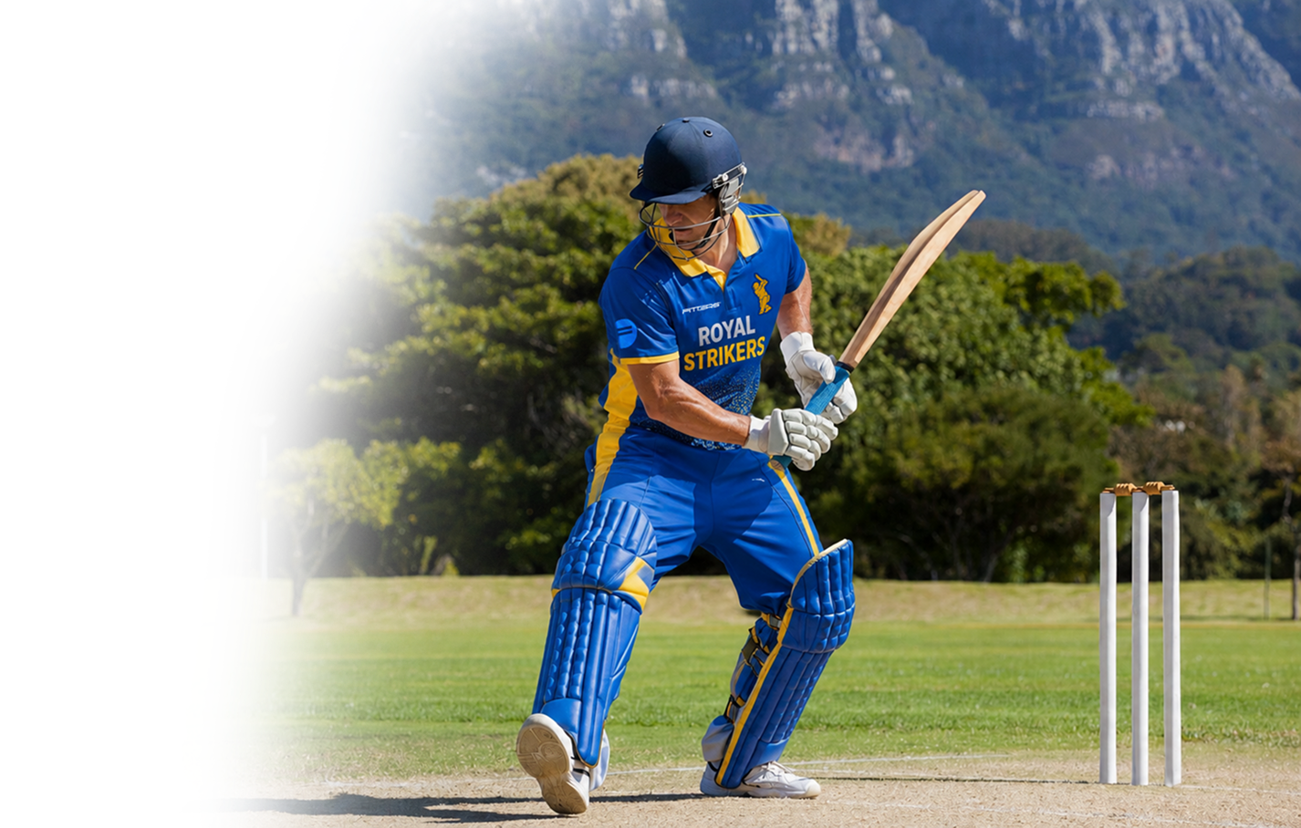Custom
[Cricket] Kit